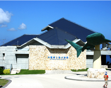 沖縄美ら海水族館